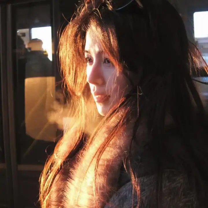 完美拍档2017